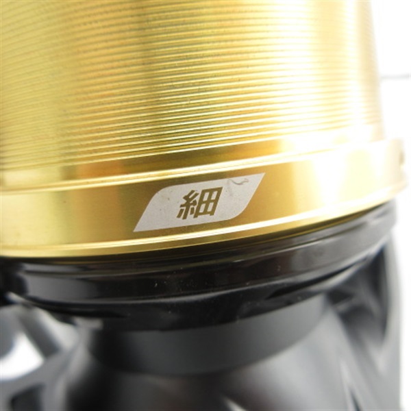 ２５アクティブキャスト細